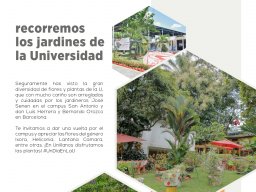 Jardines de la Universidad